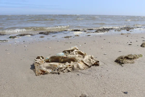 Müll im Meer - Wo kommt er her, wo landet er? (ab 6 Jahren)